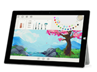 黄山Surface 无法开启、Windows 无法启动或电池无法充电